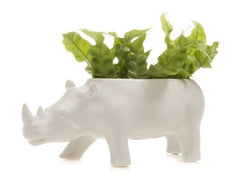 White Rhino Vase