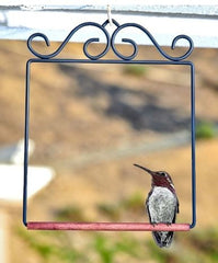 Black Hummingbird Swing