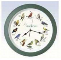 14" Bird Singing Wall Clock